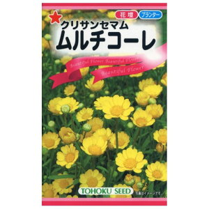 yGg[Ń|Cg10{z`R[y2025/12/4 20:00 - 2025/12/11 01:59z