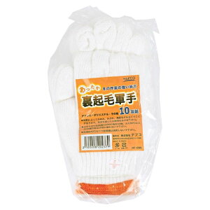 itR  NьR 10og 10P NF096