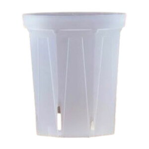 Y Xbg@@lK~G CSM-120L@4O