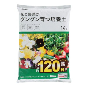 vg[t ԂƖ؂OO|{y 14L