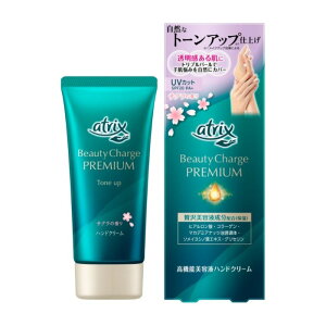 ԉ AgbNX r[eB[`[Wv~A g[Abv nhN[ TN̍ 60g