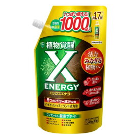 KINCHO園芸 XーENERGYつめかえ用 1000ml