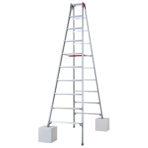 Hasegawa Lkr RYZ-30d