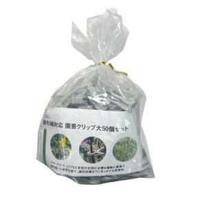 yGg[Ń|Cg10{zN@URΉ@|Nbv 50P@y2025/12/4 20:00 - 2025/12/11 01:59z