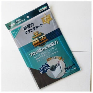 TP[LR ̓}Os^V[g GOMS[2030