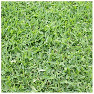 yGg[Ń|Cg10{zŐ m ZgI[KX`OX 40izpjy2025/12/4 20:00 - 2025/12/11 01:59z