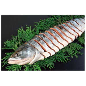 yNOAK-80zyΕzCY g-؁F2025N1211