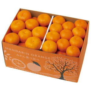 yA13-4BzyΕzLc݂ƈQ݂Hה-؁F2025N1211