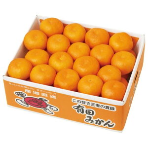 yG13-2BzyΕza̎RY Lc݂-؁F2025N1211