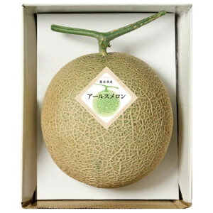 yB10-4zyΕzF{Y A[X-؁F2025N1211