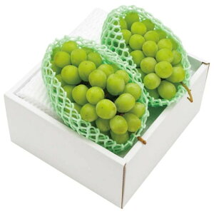 yB15-7zyΕzR`Y VC}XJbg-؁F2025N128