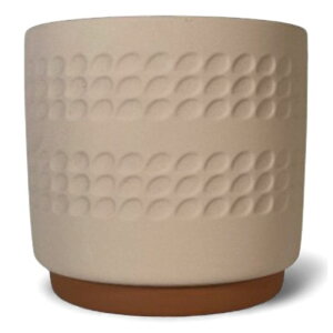 yGg[Ń|Cg10{zwelzo fBv|bg [x[Wy2025/12/4 20:00 - 2025/12/11 01:59z