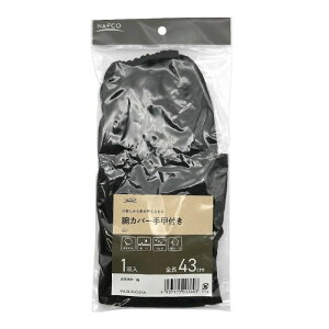 �Șr�J�o�[ ��b�t�� 431 ��