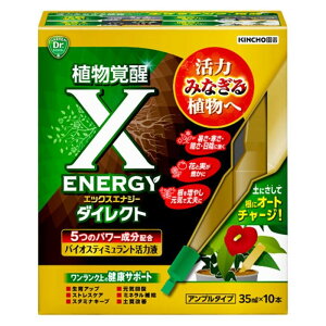 KINCHO���| X�[ENERGY�_�C���N�g�A���v���^�C�v 35ml×10