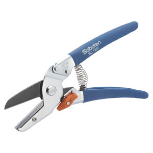 �T�{�e�� �A���r���^������ #1257