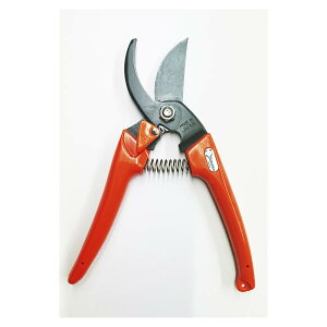 サボテン 剪定鋏 テフロン #1201