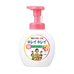 CI LCLCAnh\[v t[c~bNX {̑