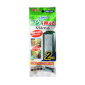 GEX xXg߃RP}X}bg 2P