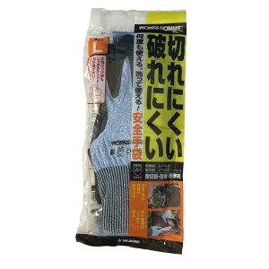 �ϐؑn��� �u���[ U5500L