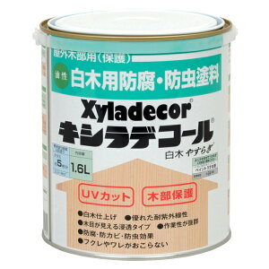 KXP~J LVfR[@ 1.6L؂₷炬