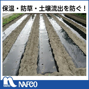 itR ؉p}` Ȃ 95cm×10m