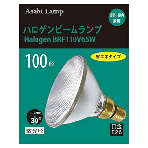 ���� �A)�n���Q���r�[�������v100W�U�� HALBRF110V65W