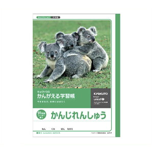 LNgEEA\VGCc 񂪂wKB5 91L417