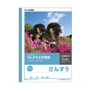 LNgEEA\VGCc 񂪂wKB5 񂷂17}X=t