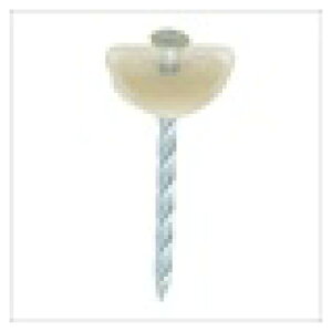 yGg[Ń|Cg10{z|J[{l[gPB uY30Ay2025/12/4 20:00 - 2025/12/11 01:59z