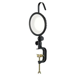 ���^LED���[�N���C�g30W�����F WLT-C30LA