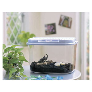 飼育ランドM CY-Mパール青