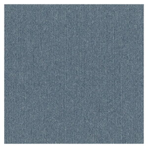 ���� �^�C���J�[�y�b�g TG1707-HC09�i�P�[�X����j 50×50cm�@BL�i16������j