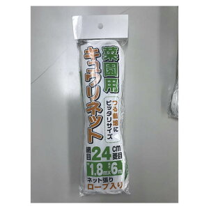 yyVX[p[SALEzitR ؉pLElbg 24cm1.8×6my2025/12/4 20:00 - 2025/12/11 01:59z