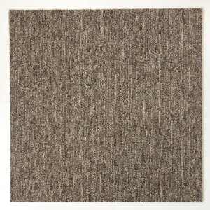 �^�C���J�[�y�b�g YN01�i�P�[�X����j 50×50cm BE 20����