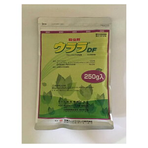 yyVX[p[SALEzΌY EDF 250gy2025/12/4 20:00 - 2025/12/11 01:59z