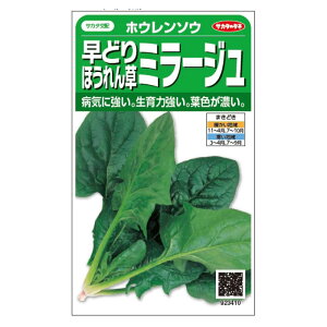 yyVX[p[SALEzTJ^̃^l zE\E ǂ ~[Wy2025/12/4 20:00 - 2025/12/11 01:59z