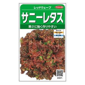 TJ^̃^l Tj[^X bhEF[u