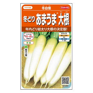 yGg[Ń|Cg10{zTJ^̃^l ~ǂ肠܂ܑ卪 ~y2025/12/4 20:00 - 2025/12/11 01:59z