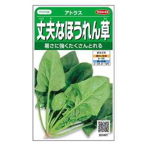 �T�J�^�̃^�l ��v�Ȃق���� �A�g���X