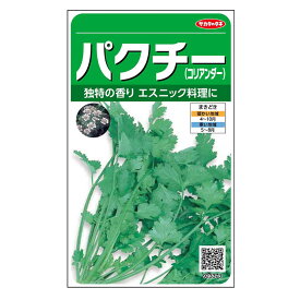 【エントリーでポイント10倍】サカタのタネ パクチー(コリアンダー) コリアンダー【2024/5/23 20時 - 5/27 1時59分】