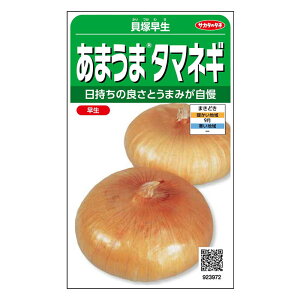 TJ^̃^l ܂܃^}lM Lˑ