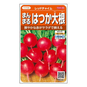 サカタのタネ まんまるはつか大根 レッドチャイム