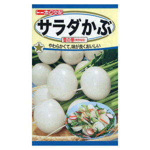 カブ サラダかぶ雪の華