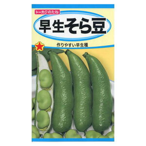 \} 瓤