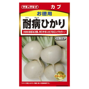 カブ 耐病ひかり徳用