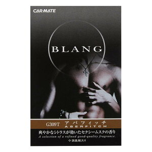 �u�����O�\���b�h�l�ւ�3P �A�o�t�B�b�` G309T