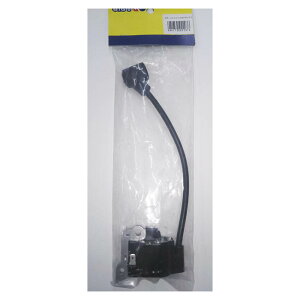 BIGMiێR쏊j @p[c IRCAbZu