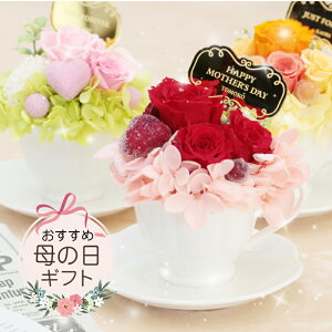 vU[uht[ AWg  y eB[Jbv z v[g  Mtg 킢  ͂Ȃ   ޏ FB e av[g j Vzj ސE