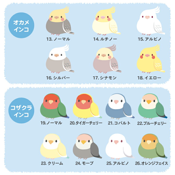 楽天市場 水筒 マグボトル 名入れ ぽてっと小鳥さん水筒 プレゼント ギフト おしゃれ かわいい 鳥 小鳥 インコ グッズ 雑貨 セキセイインコ 文鳥 保温 保冷 スクリュー 軽量 名前入り 400ml 誕生日 卒業祝い 入学祝い お祝い いきものがたり 翌々営業日出荷 名