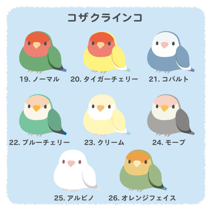楽天市場 水筒 マグボトル 名入れ ぽてっと小鳥さん水筒 プレゼント ギフト おしゃれ かわいい 鳥 小鳥 インコ グッズ 雑貨 セキセイインコ 文鳥 保温 保冷 スクリュー 軽量 名前入り 400ml 誕生日 卒業祝い 入学祝い お祝い いきものがたり 翌々営業日出荷 名 楽天市場 水筒 マグボトル 名入れ ぽてっと小鳥さん水筒 プレゼント ギフト おしゃれ かわいい 鳥 小鳥 インコ グッズ 雑貨 セキセイインコ 文鳥 保温 保冷 スクリュー 軽量 名前入り 400ml 誕生日 卒業祝い 入学祝い お祝い いきものがたり 翌々営業日出荷 名